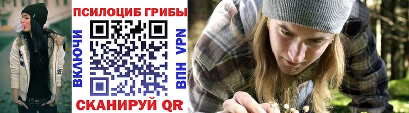 купить  сайты  Катайск  Псилоцибиновые грибы мухоморы 