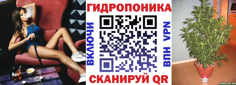 купить сайты mega зеркало МАРИХУАНА марихуана Катайск
